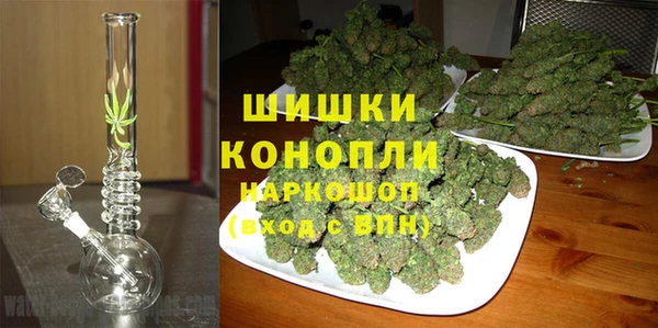 трава Арсеньев